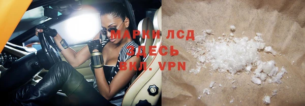 прущие грибы Алзамай