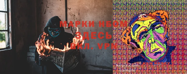 прущие грибы Алзамай