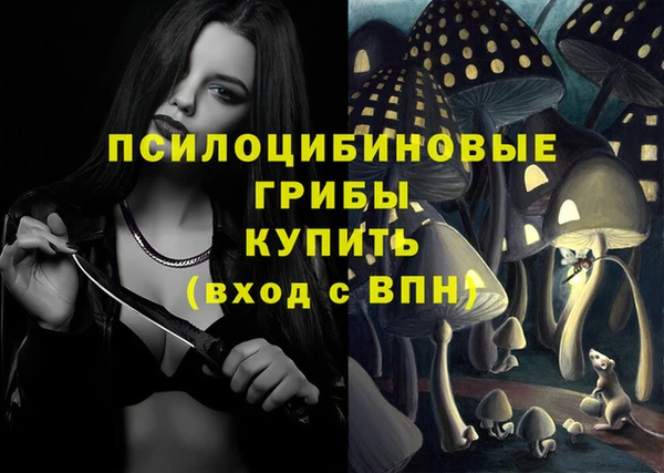 прущие грибы Алзамай