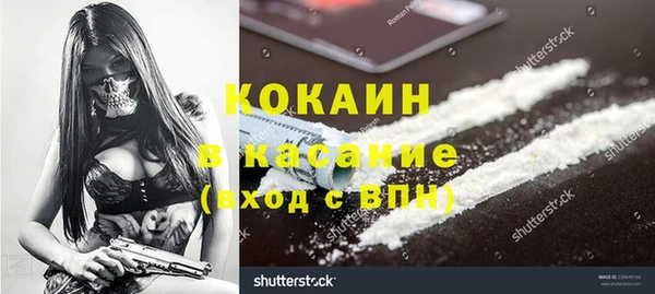 прущие грибы Алзамай