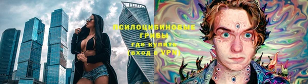 прущие грибы Алзамай