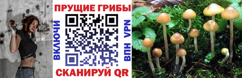 Галлюциногенные грибы мухоморы  магазин  наркотиков  Нижний Новгород 